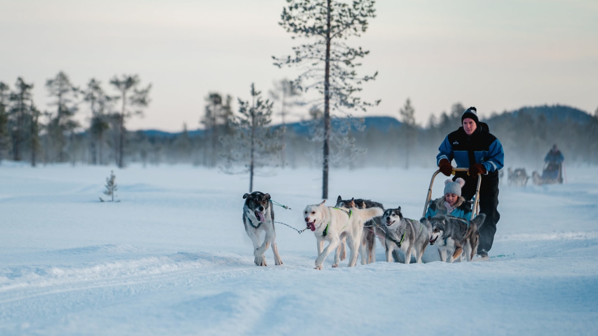 Hundeschlitten Wilderness Resort